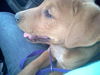 Jax