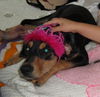Sallie
