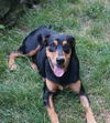 Sallie
