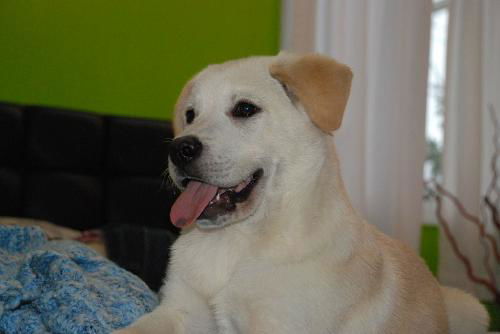 Winnie