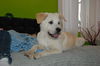 Winnie