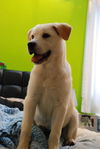 Winnie