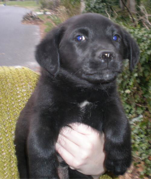 Finnigan