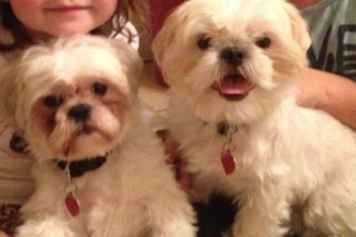 Sammy & Ty
