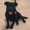 Germaine aka Rocky