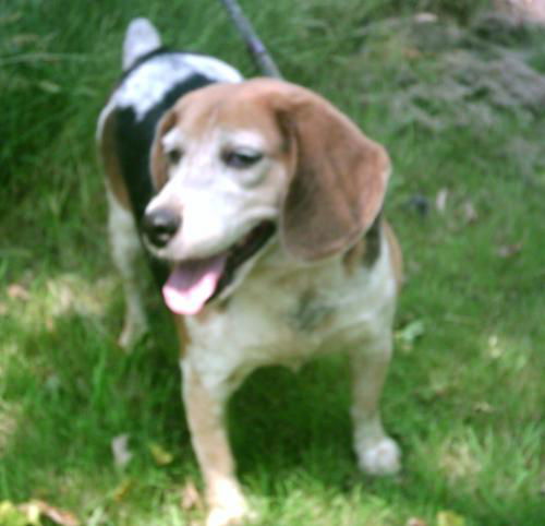Winnie