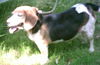 Winnie