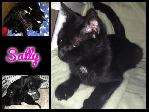 Sally