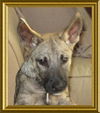Carmen (aka: Dolly)