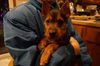 Bolito aka Buster Brown