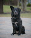 Fidel aka Cody