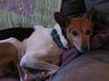 Charlie