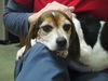 Maggie
