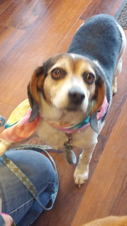 Maggie
