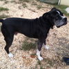 Jack