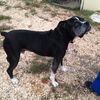 Jack