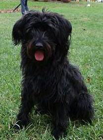 Maggie - Courtesy Posting