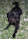 Maggie - Courtesy Posting