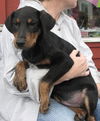 Wilma