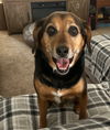 Yoda - Yes! I'm Handsome!