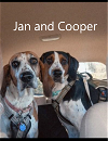 adoptable Dog in , VA named Jan and Cooper