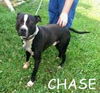 Chase