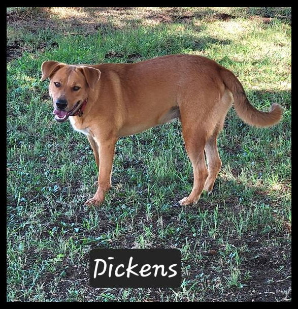 Dickens