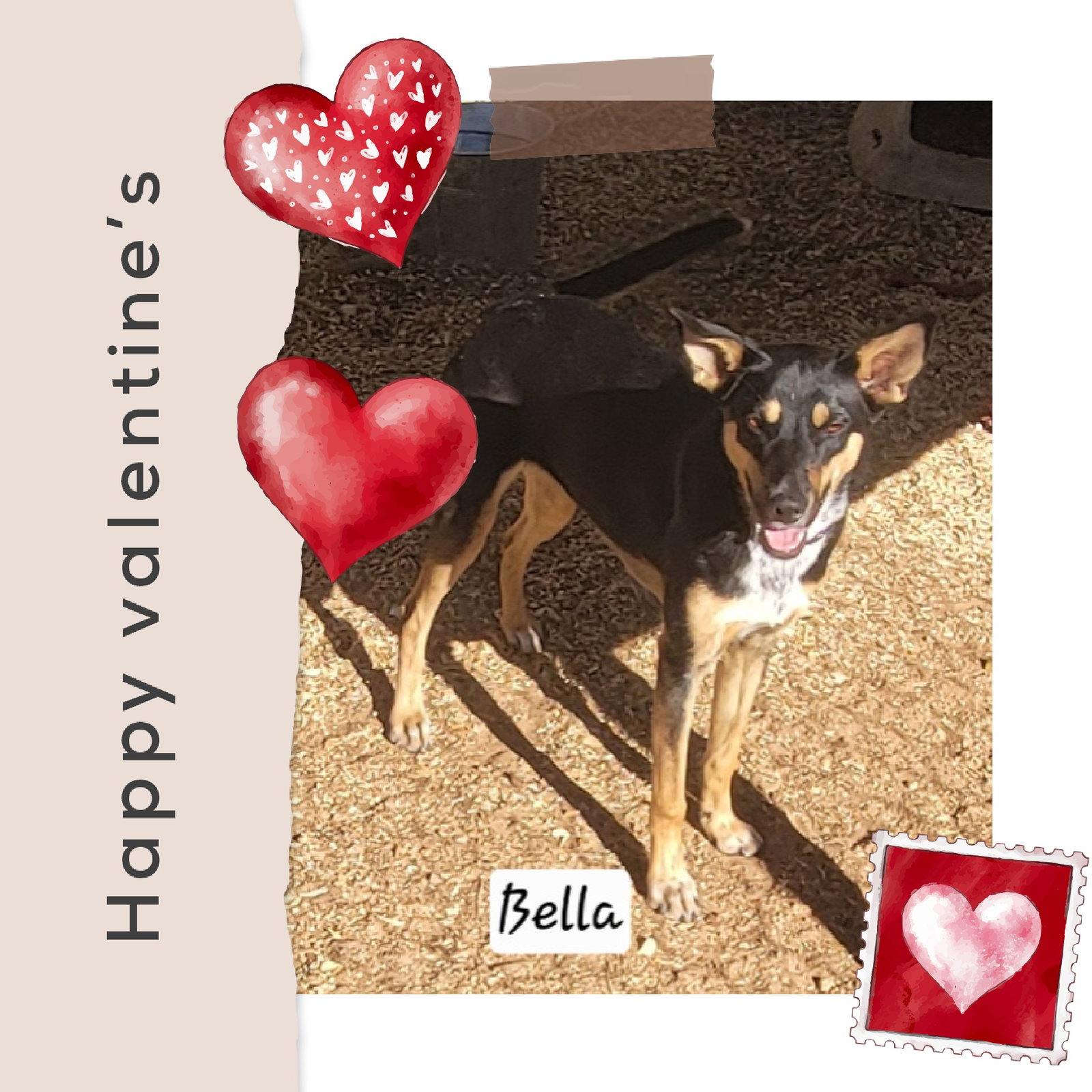 Bella