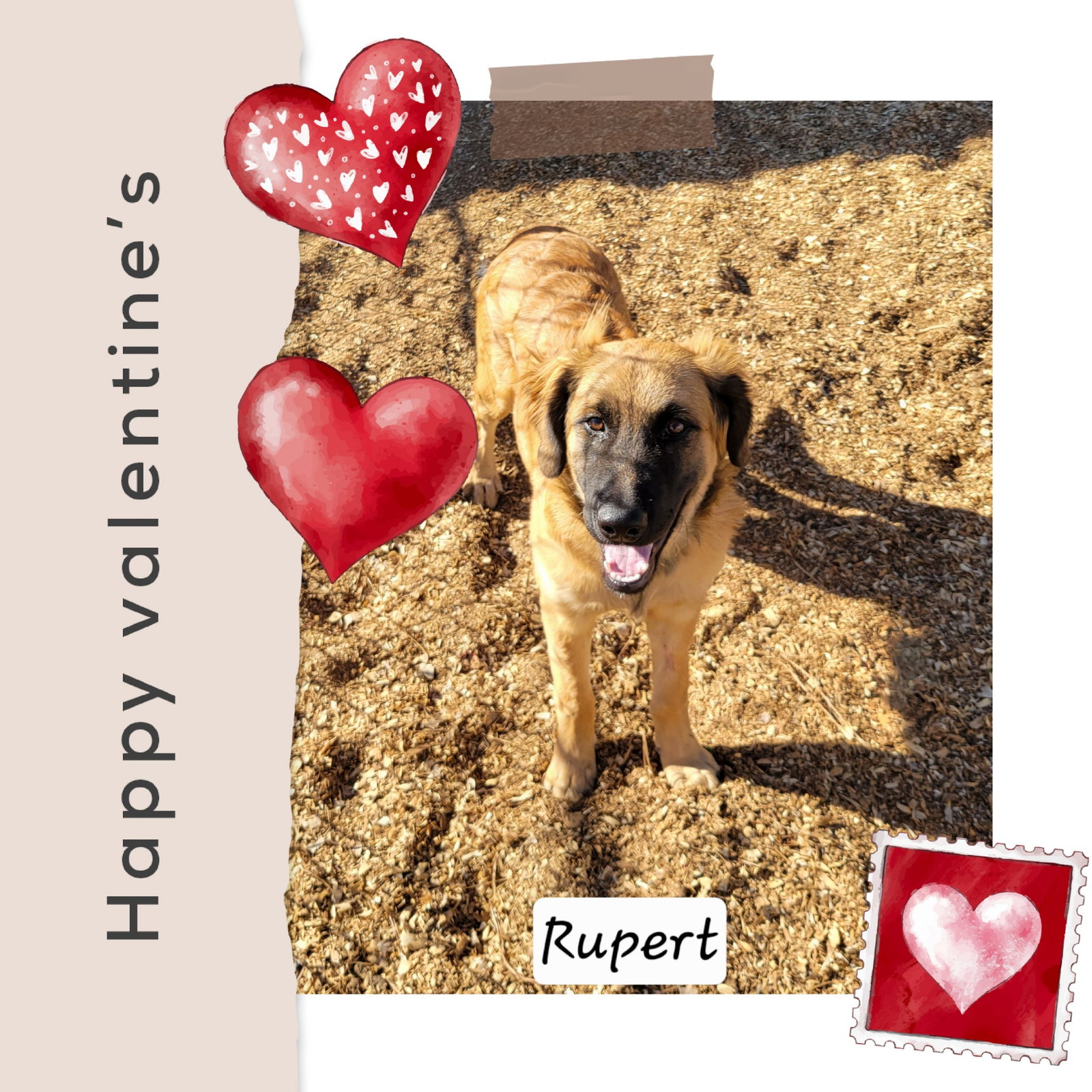 Rupert