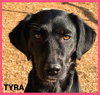 Tyra - Photo 1