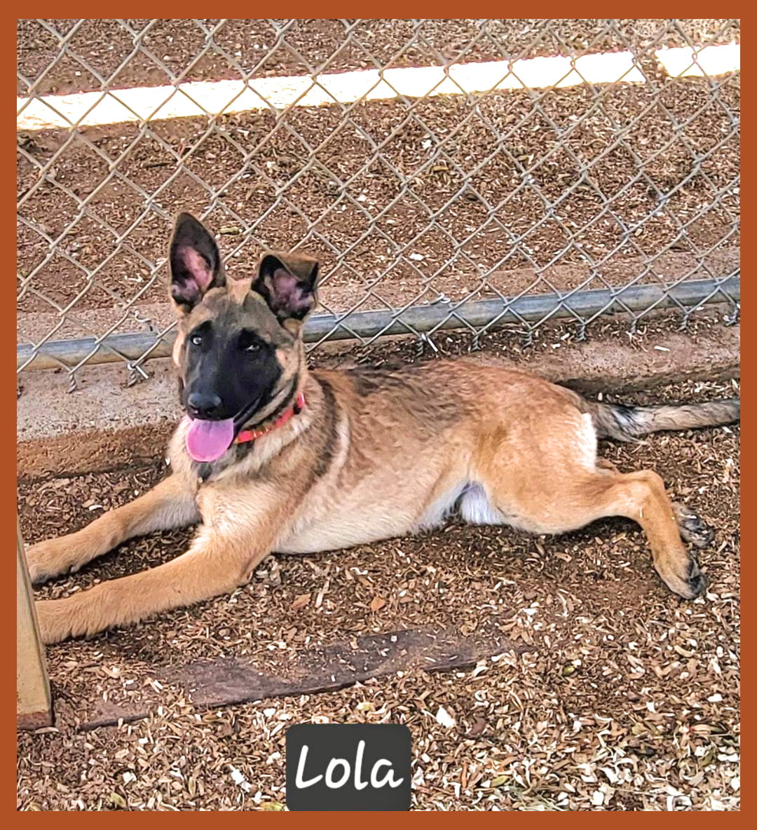 Lola