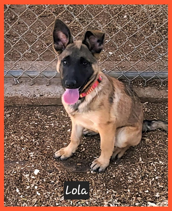 Lola