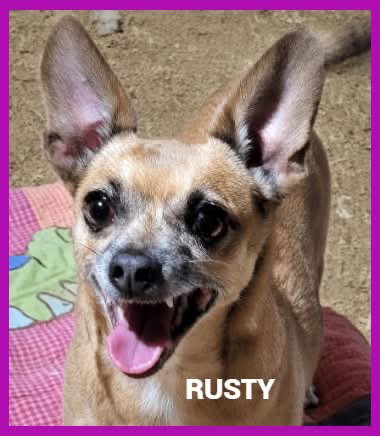 Rusty