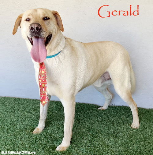 Gerald