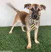 Buster - Photo 2