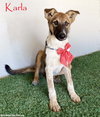 Karla - Photo 1