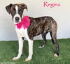 Regina - Photo 1