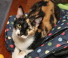 Lucy - Photo 1