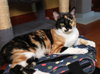 Lucy - Photo 2