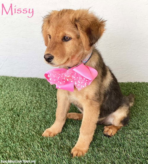 Missy