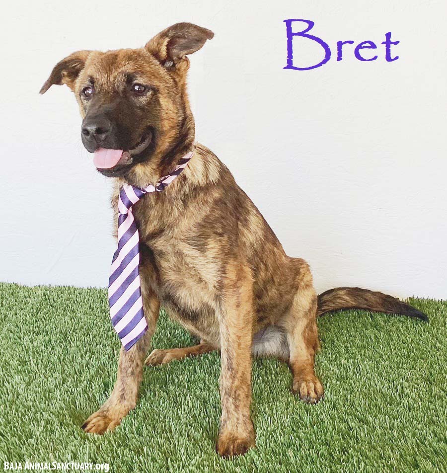 Bret