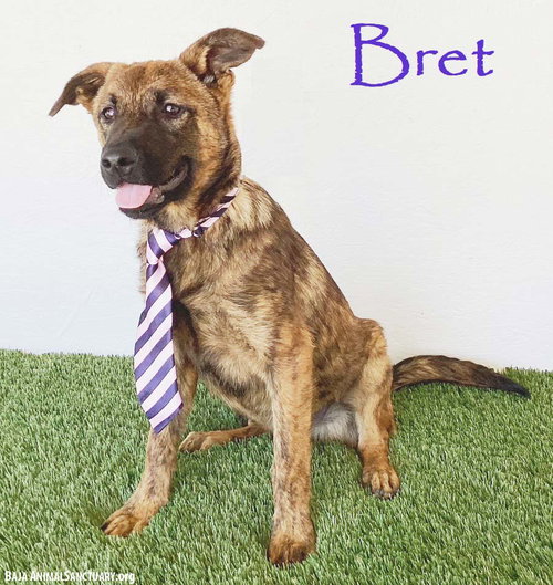 Bret