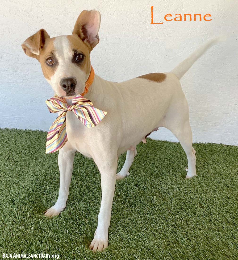 Leanne