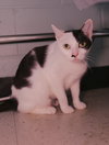 Athena - Photo 1