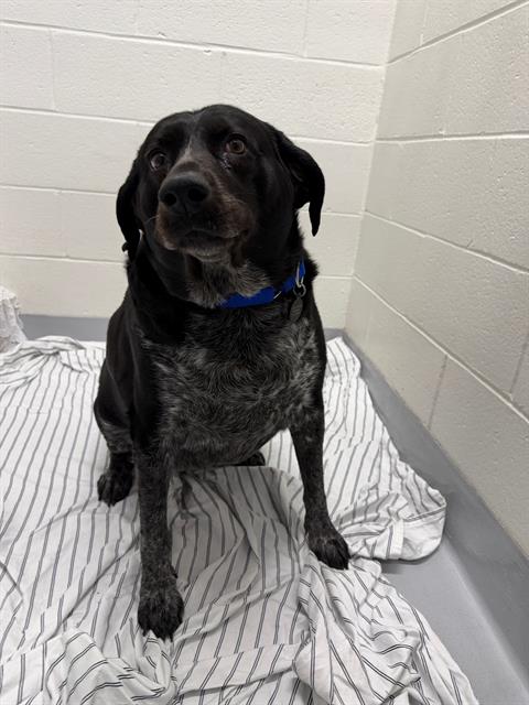 SAMMY