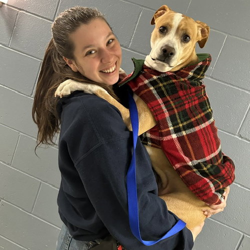 picture of the dog needing adoption