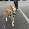 TOFU - Photo 1
