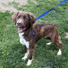 KNOX - Photo 1