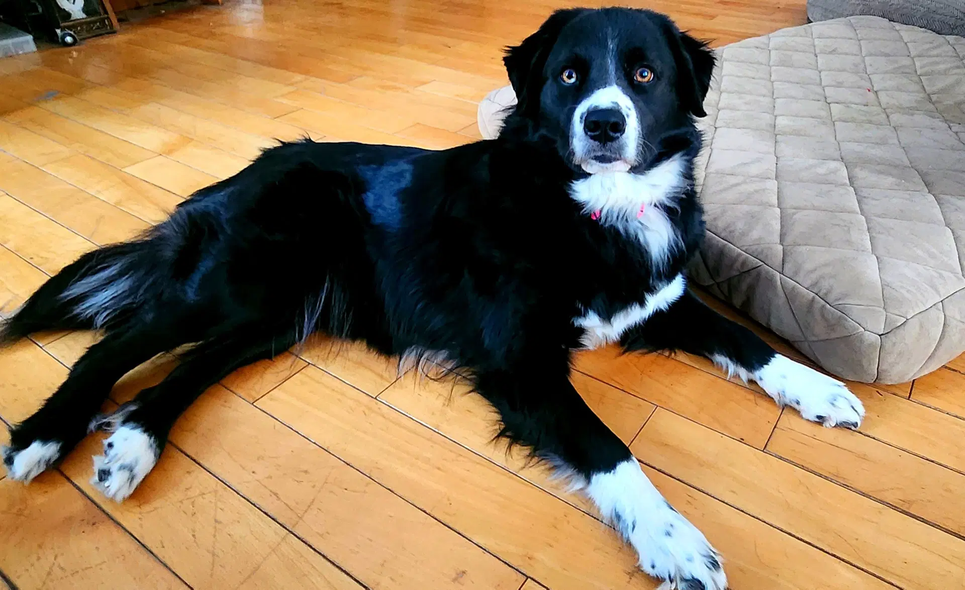 Fiona image 4