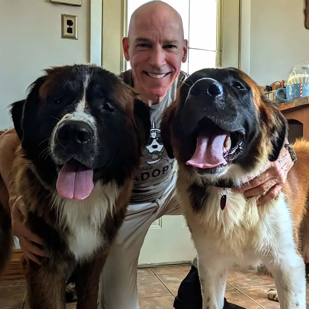 Bear And Bunny - Saint Bernard